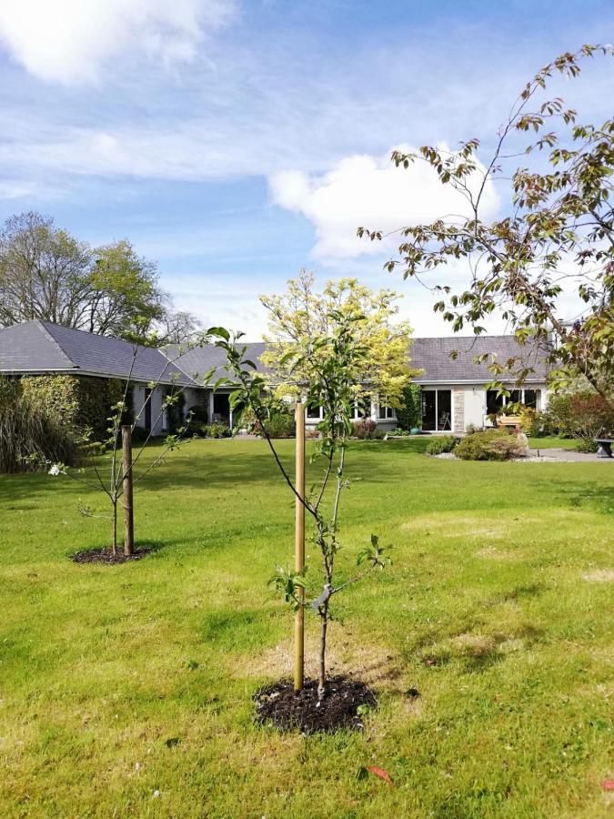 Applecroft House Bed & Breakfast คิลลาร์นีย์ ภายนอก รูปภาพ