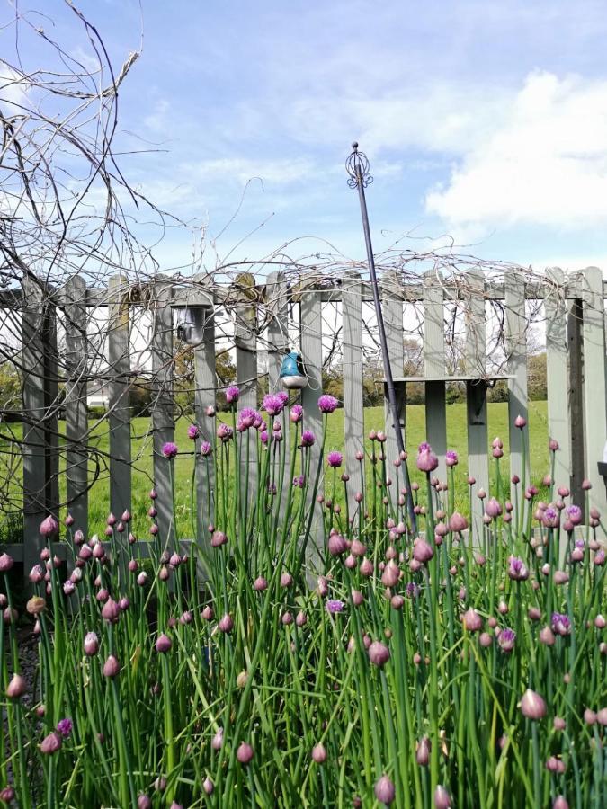 Applecroft House Bed & Breakfast คิลลาร์นีย์ ภายนอก รูปภาพ