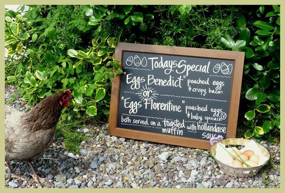 Applecroft House Bed & Breakfast คิลลาร์นีย์ ภายนอก รูปภาพ