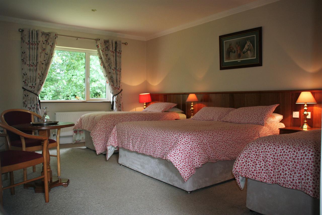 Applecroft House Bed & Breakfast คิลลาร์นีย์ ภายนอก รูปภาพ